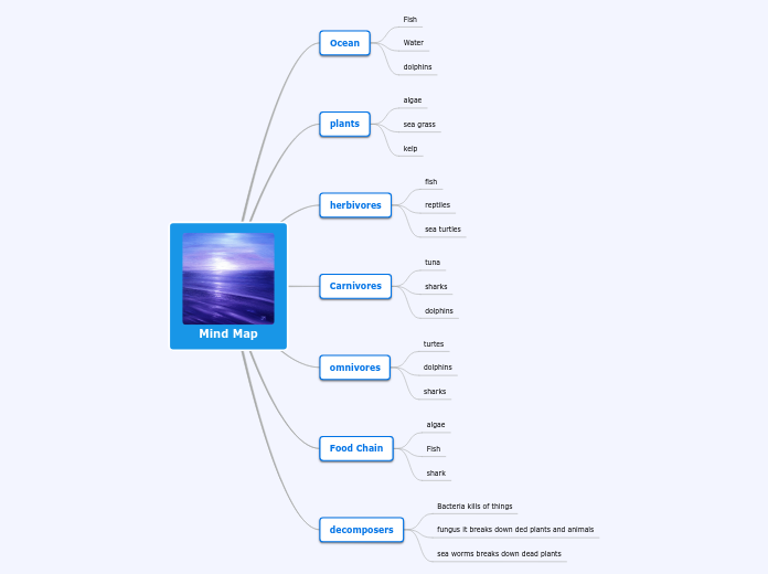 Mind Map - Mind Map